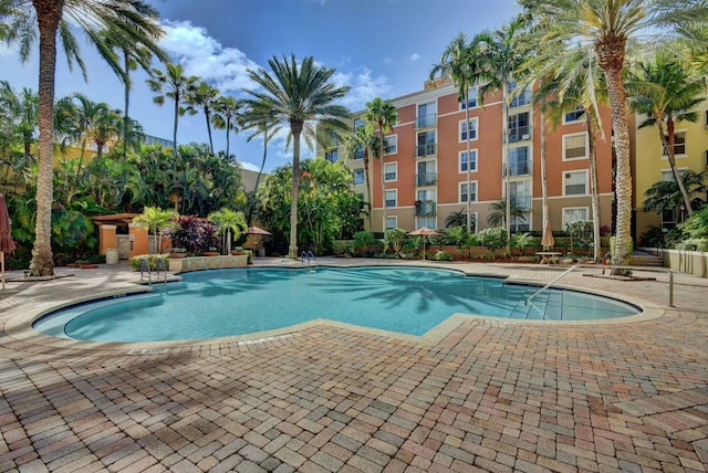 view of pool with a patio area