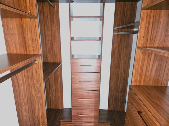 view of walk in closet