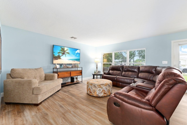 living room featuring light hardwood / wood-style flooring and a healthy amount of sunlight