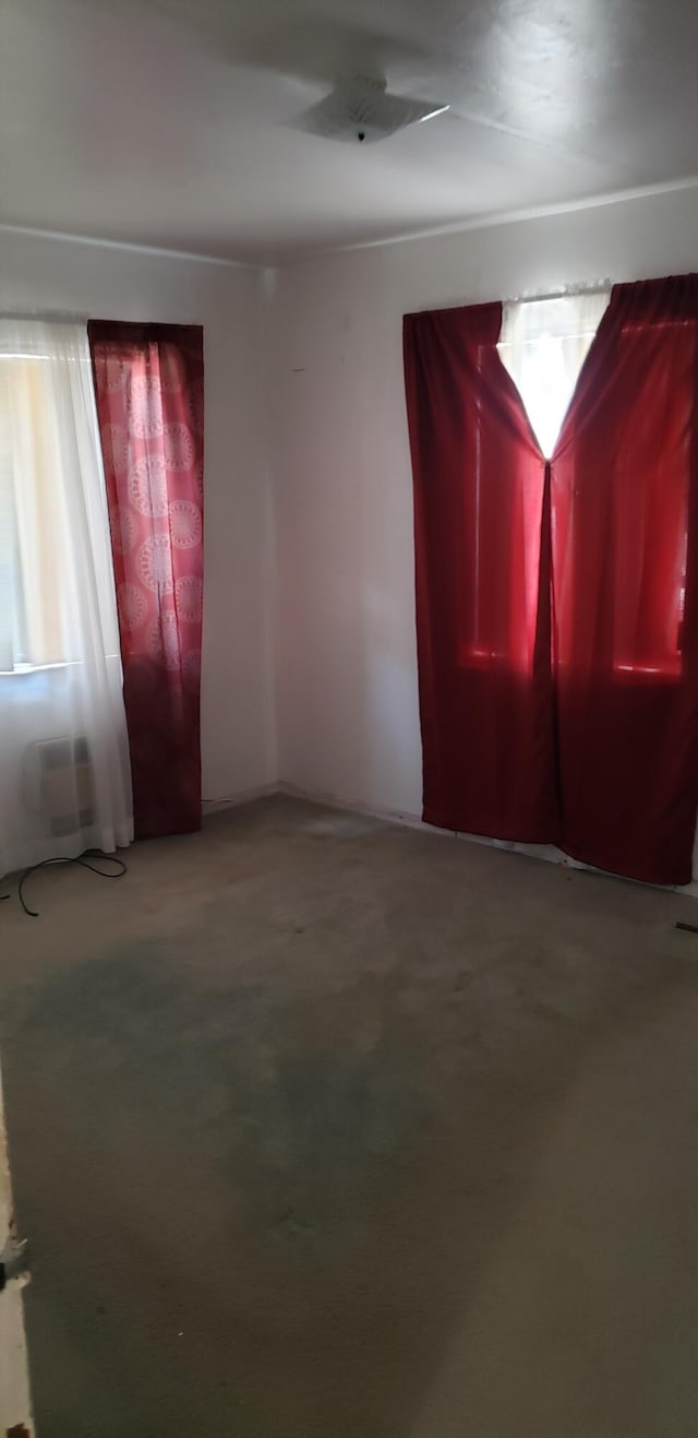 unfurnished room featuring a wealth of natural light and carpet