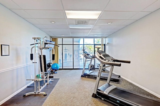 workout room featuring a drop ceiling, floor to ceiling windows, and carpet