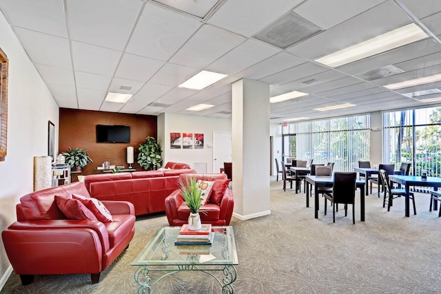 carpeted living room with a drop ceiling and a wall of windows