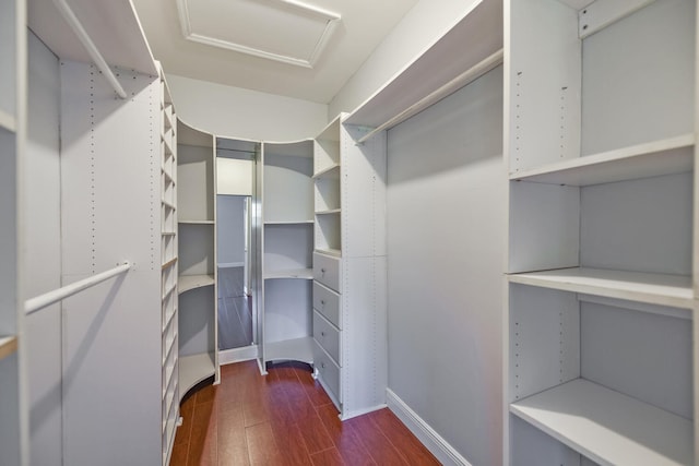 spacious closet with dark hardwood / wood-style floors