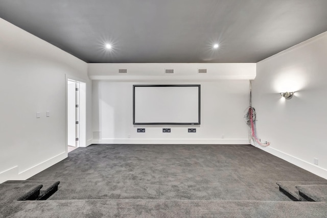 cinema room with dark colored carpet