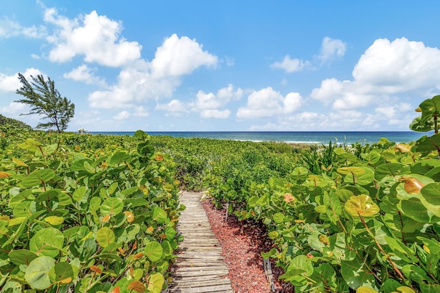 surrounding community with a water view