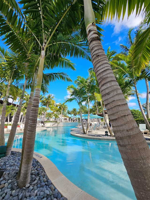 view of pool with a patio