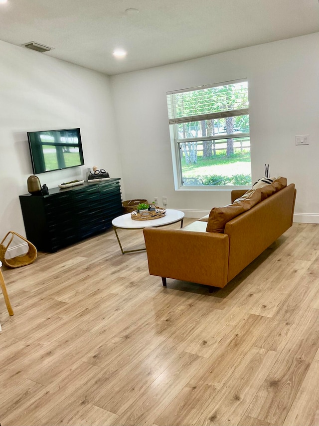 living room with light wood-type flooring