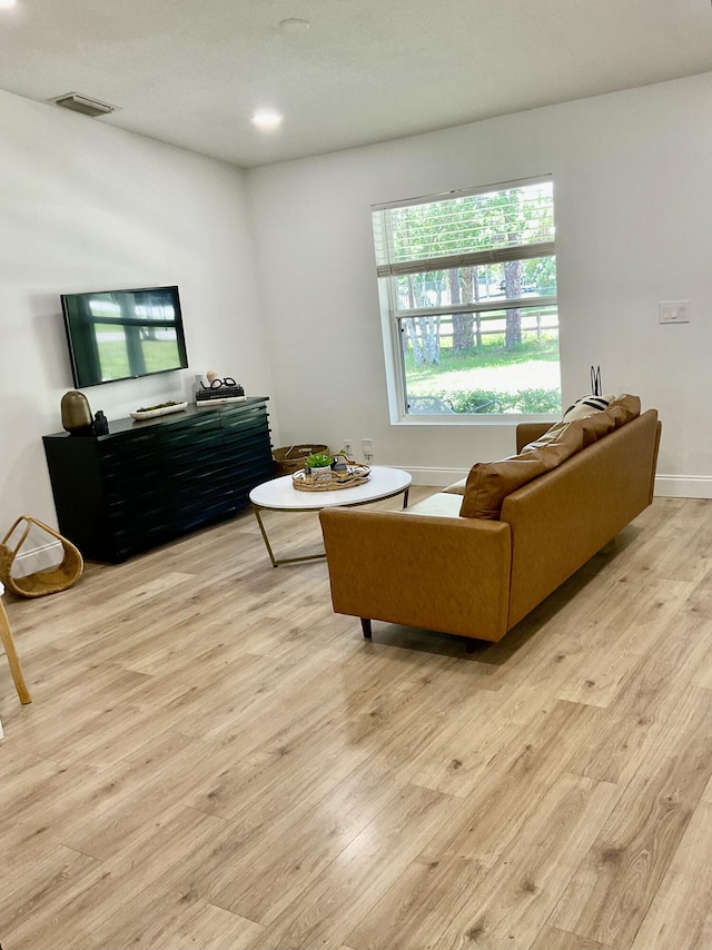 living room featuring light hardwood / wood-style floors