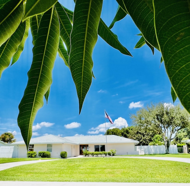 view of front of home featuring a front lawn