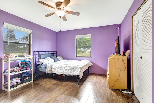 bedroom with ceiling fan, a closet, and dark wood-type flooring