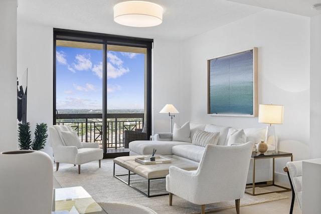 living room with expansive windows