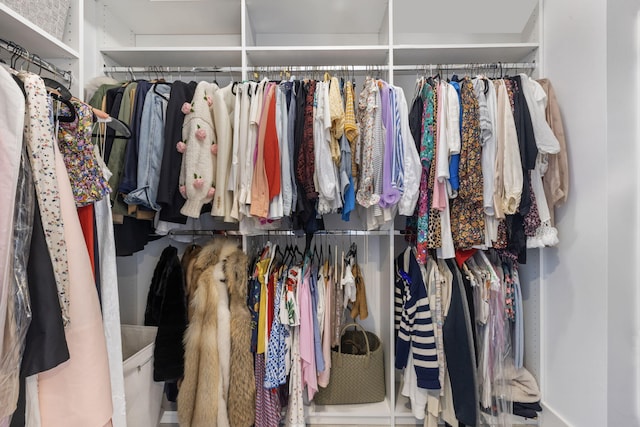 view of spacious closet