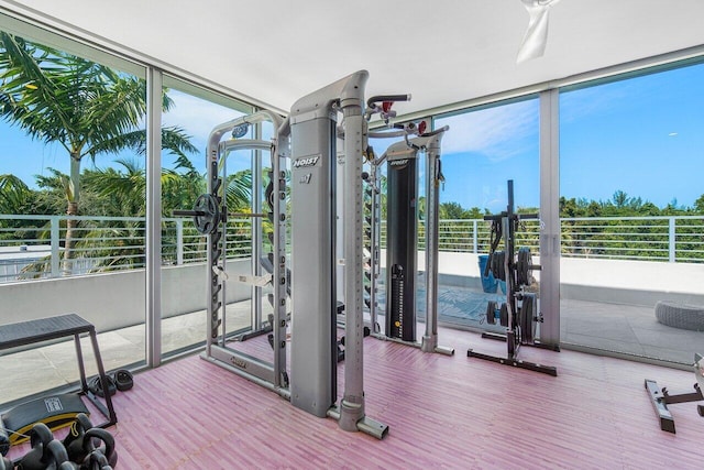 workout area featuring a wall of windows and wood finished floors