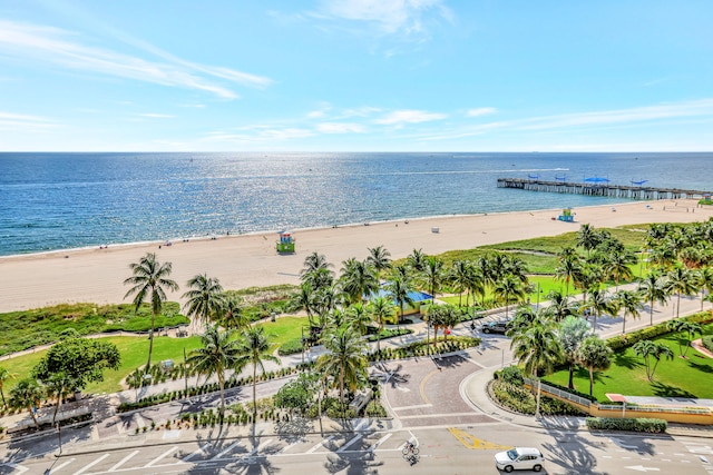 view of water feature featuring a beach view