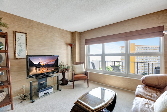 living room featuring carpet and a textured ceiling