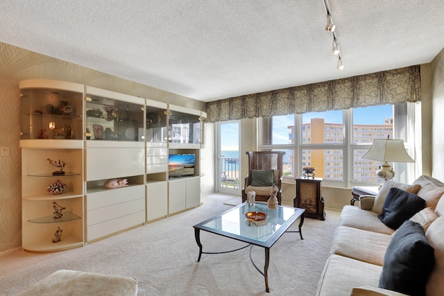 living room featuring carpet flooring, a textured ceiling, and rail lighting