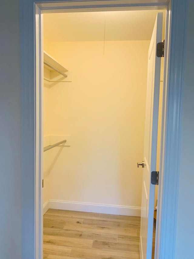 spacious closet with hardwood / wood-style flooring