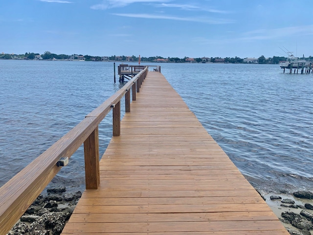 dock area with a water view