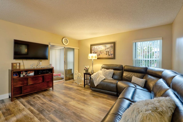 living room with wood-type flooring and a textured ceiling