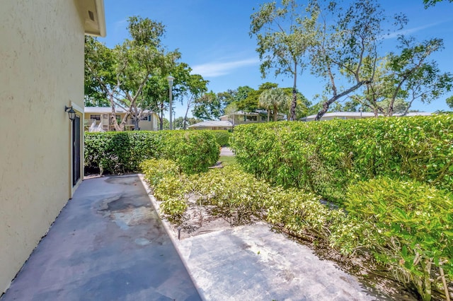 view of yard featuring a patio area