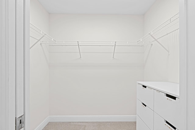 spacious closet with light colored carpet