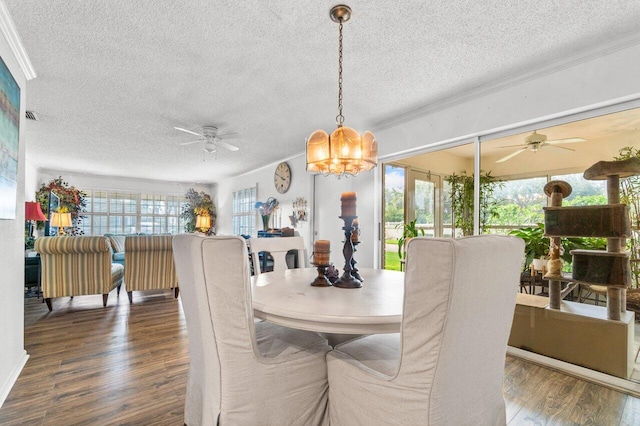 dining space with a textured ceiling, ceiling fan with notable chandelier, crown molding, and dark wood-type flooring