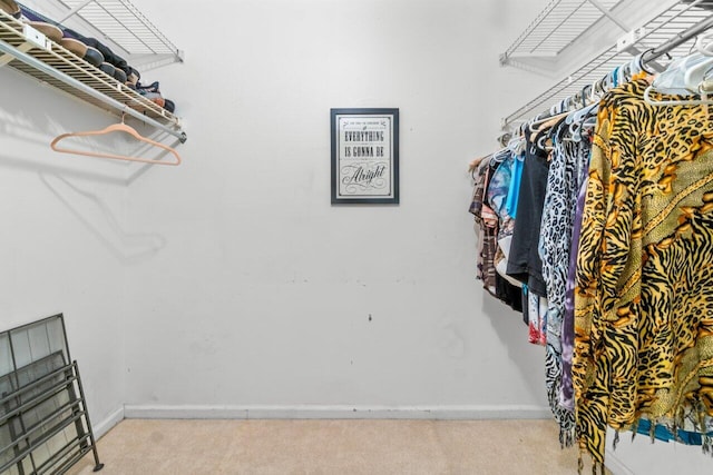 walk in closet featuring carpet flooring