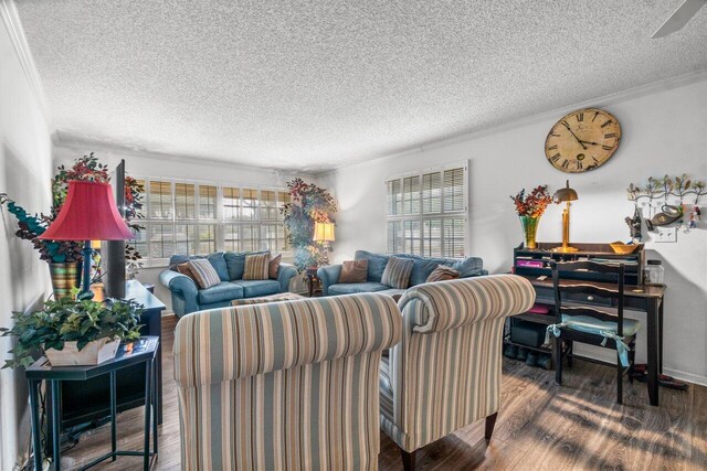 living room with a textured ceiling, a wealth of natural light, and ornamental molding