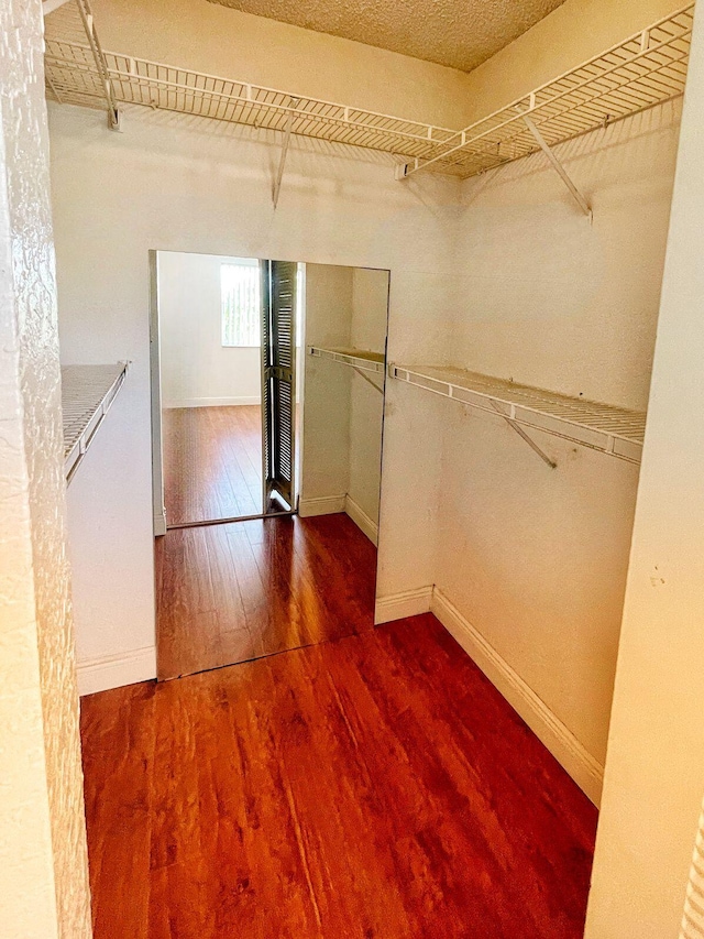 walk in closet with wood-type flooring