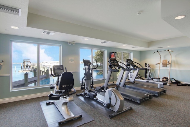 workout area with dark carpet and plenty of natural light