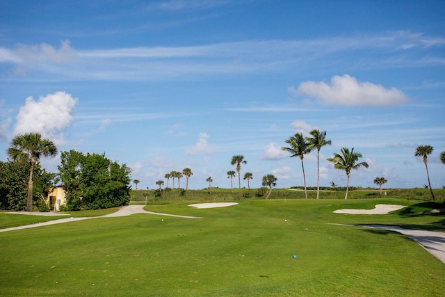 view of community with a lawn