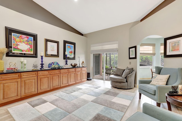 sitting room with lofted ceiling