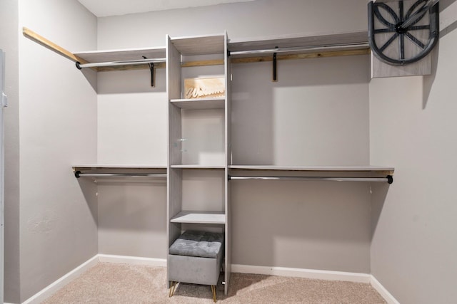 spacious closet featuring light carpet