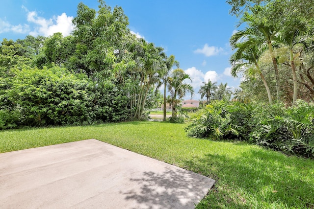 view of yard featuring a patio