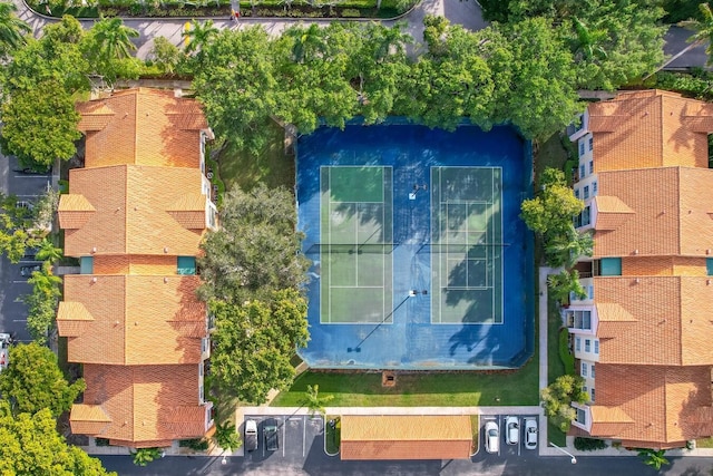 aerial view