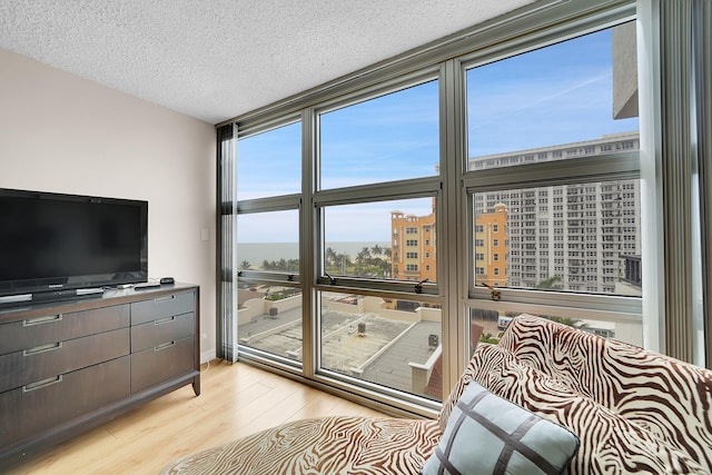 living room featuring a textured ceiling, light hardwood / wood-style floors, plenty of natural light, and expansive windows