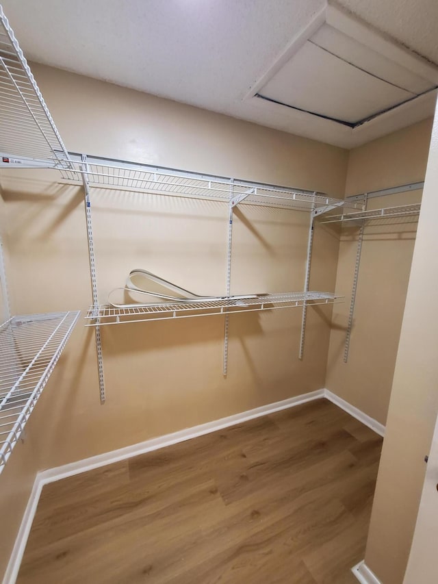 walk in closet featuring wood-type flooring