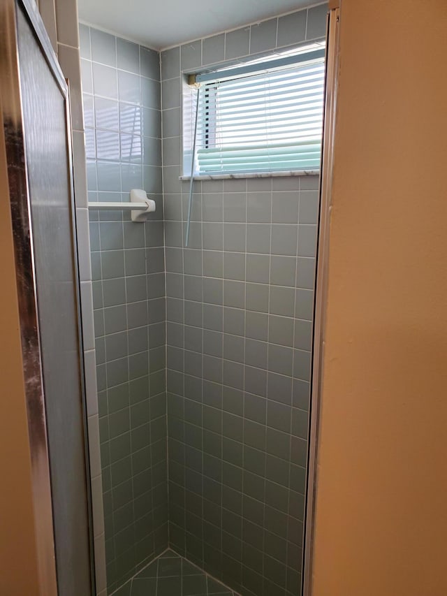 bathroom with a shower with shower door