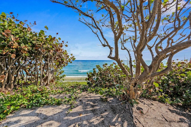 property view of water with a beach view