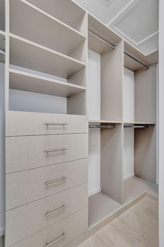 spacious closet featuring light hardwood / wood-style flooring