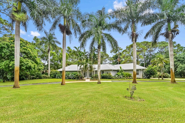 view of front facade featuring a front yard