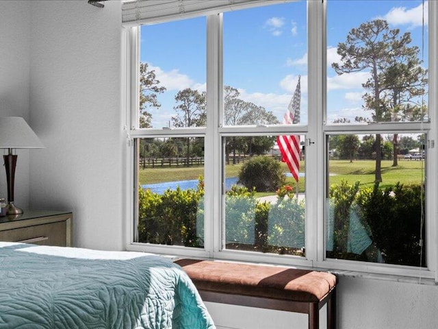 bedroom featuring a water view