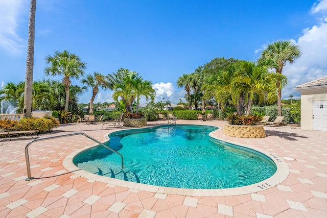 view of pool with a patio area