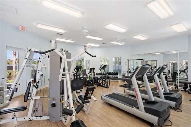 gym with ceiling fan, a wealth of natural light, and light hardwood / wood-style floors