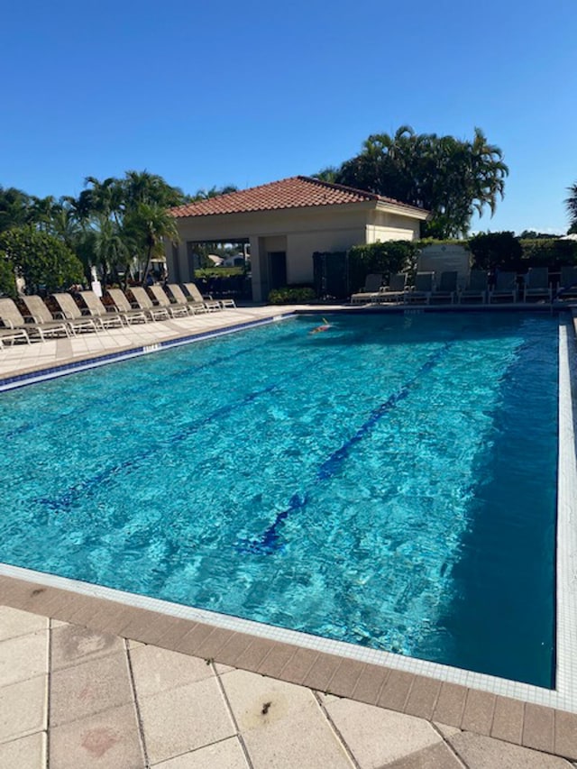 view of swimming pool with a patio