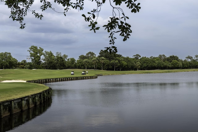 property view of water