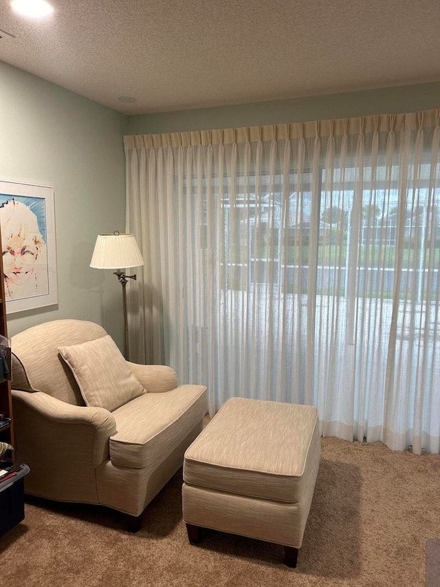 sitting room featuring carpet and a textured ceiling