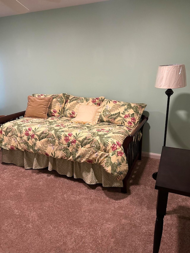 bedroom featuring dark colored carpet