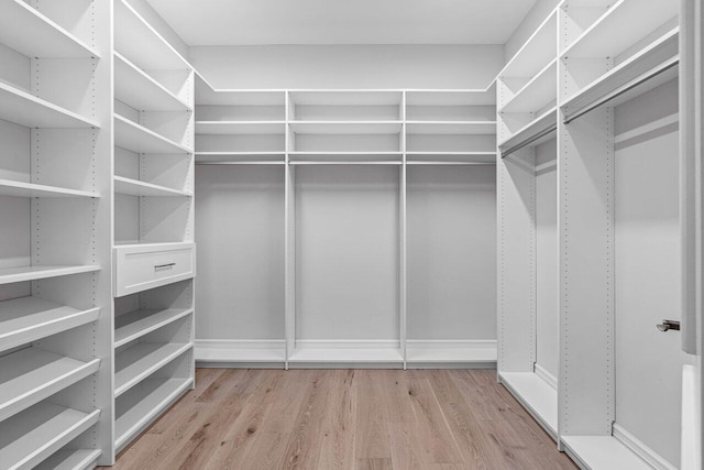 spacious closet featuring light hardwood / wood-style flooring