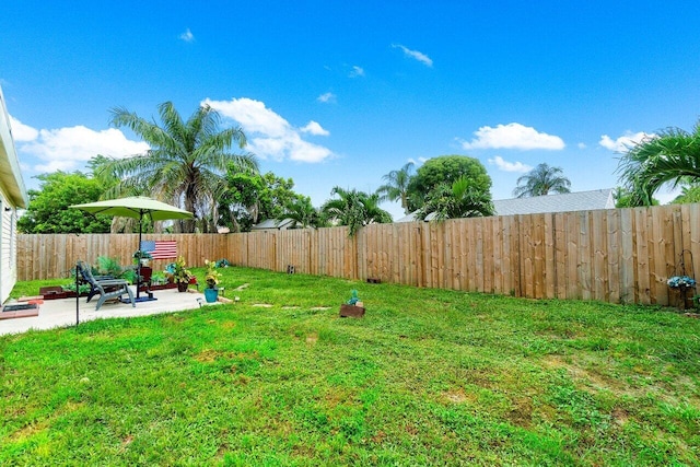 view of yard featuring a patio